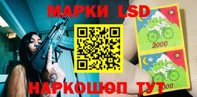 прущие грибы Нальчик