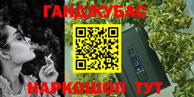 прущие грибы Нальчик