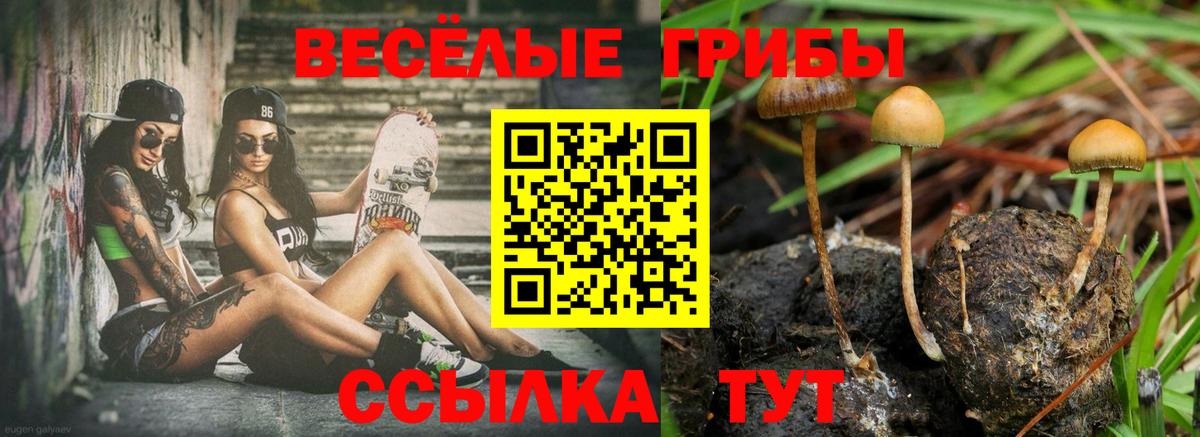 Хасавюрт  Псилоцибиновые грибы прущие грибы  Псилоцибиновые грибы Magic Shrooms  Вход с VPN 
